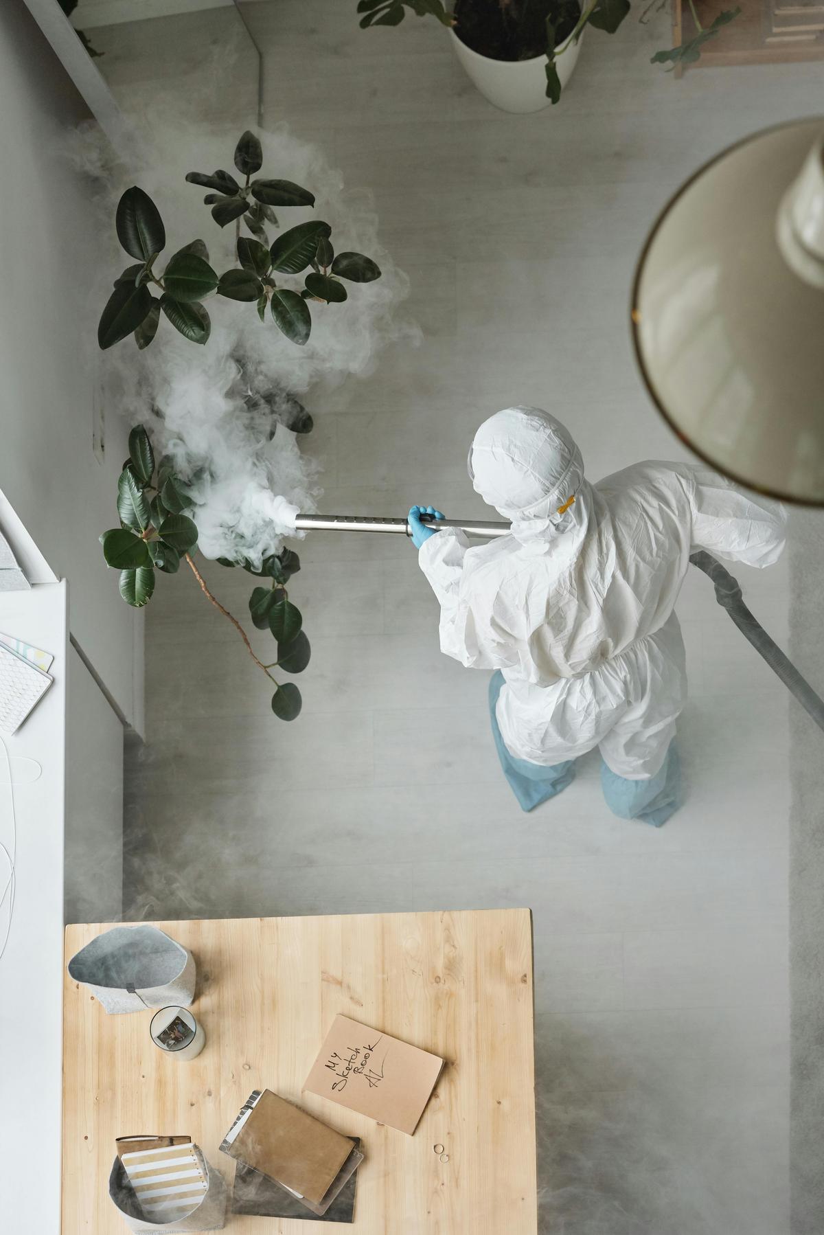 Florida pest control expertise